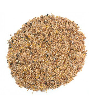 Lundi Fine Duck Grain