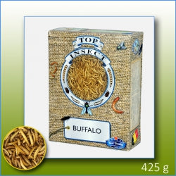 Buffalo Worms congelati