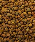 Gatti Classic Variety Adult