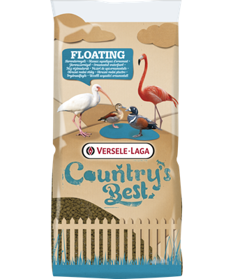 Floating ibis