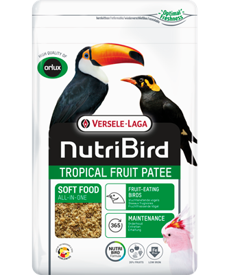 Nutribird Tropical fruit patee